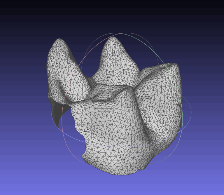 3Dmodel_Meshlab-768x668 Recherche