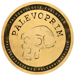 palevoprim-logo-left Recherche